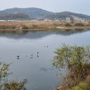 오토오아시스선장사거리점 | 금강 따라 걷기 24(현도교-부강교-햇무리교)