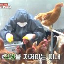 영미농장 이미지