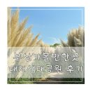 꽃동산어린이공원-2 | 부산 가볼만한곳 나들이 추천 대저생태공원 방문기 팜파스 버베나 꽃후기