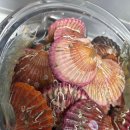 보일농수산 | 대구 매천시장 줄 너무 길다… 결국 ‘나리네농수산’에서 활새우 성공!