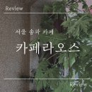 석촌역 4번출구 앞 이미지