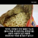 뽀글이 Daum카페