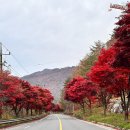 방곡도깨비 마을 | 충북 단양 대가족 숙소 추천 방곡숲 펜션 서쪽집 내돈내산 후기