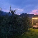 맨션애플트리 이미지