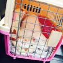 좌천동물병원 이미지