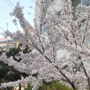 여수울공원(정자) 이미지