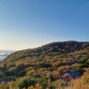 국립 무의도 자연휴양림 | 실미도 후기