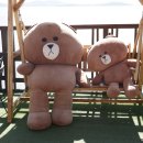 케이131 이미지