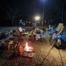 어도숲 캠핑장 이미지