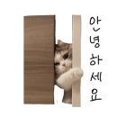 킹콩클라이밍
