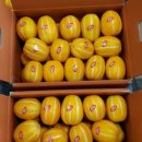 율리농장 이미지