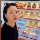 새식당 이미지