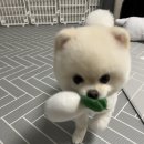 살롱드뚜뚜 이미지