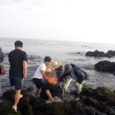 미션세상 이미지