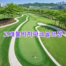 고래불 비치파크골프장 | 고래불비치파크골프장 예약하기 홈페이지 지도 총정리