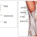 거제동백한의원 이미지
