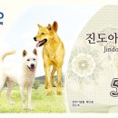 진도유통 이미지