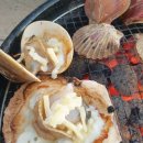 버드글램핑 이미지