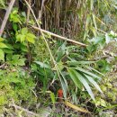 상효2동 이미지