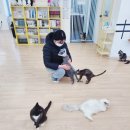 남서울 뽑기천국 | 천안이색카페)천안데이트코스 추천 쌍용동고양이카페 지상냥원