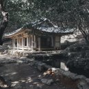 다산숲 이미지