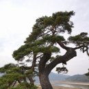 낙동강종주자전거길 이미지