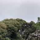 송당상회영농조합법인 이미지