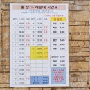 부산 해운대 태국 음식 타이백스트릿 해리단길점 내돈내산 솔직 후기 울산에서 해운대 가는 버스 시간 요금