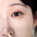 올리브영브러쉬 추천 플라리아 뮬리 메이크업 브러쉬 5종 후기