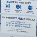 송도요양병원 | 2025 부산 서구 독감예방접종 저렴한 송도요양병원