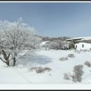 2월25,26,27일 제주 한라산 산행 이미지