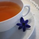 EARL GREY TEA 이미지