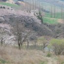 운산목장 이미지