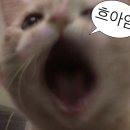 소향장터