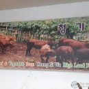 청기와유통 이미지