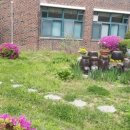 서울등원초등학교 이미지