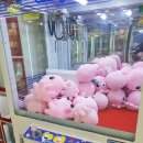 뽑생뽑사 이미지