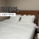 프렌치럭셔리:: 구름이불 알러지케어 사계절이불 시원하고 따뜻한 구름이불 솔직후기!