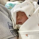 우성차병원 이미지