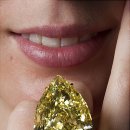 씨엔케이인터내셔널 이미지