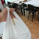 단관초등학교 | 원주 삼계탕 맛집ㅣ삼부자집ㅣ한방하수오삼계탕 포장 후기