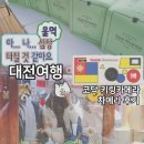 지족북로(유성-121) | 두쫀쿠, 르 쇼콜라 데디유, 뮤제베이커리, 대전 붕어빵맛집, 성심당, 코닥 키링카메라 차메라 후기