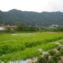 태기산농장 이미지