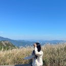 제일사슴농장 | 영남알프스 울산 간월재 억새구경 주차장, 사슴농장 코스 후기