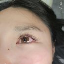 더뷰아이래쉬