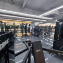 윌 휘트니스 이미지