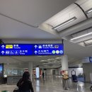 여행척척 | 홍콩공항에서 마카오 가는 법 | HKIA 버스 타고 아이와 부모님 모시고 자유여행 후기