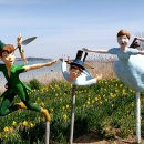 2025년 섬 수선화축제 이미지