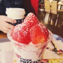 요거프레소 이미지