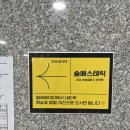 솔에스테틱 화성점 이미지